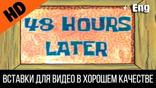 48 Hours Later / Сорок Восемь Часов Спустя | Spongebob Timecard | Видео Вставка | Insert For Video