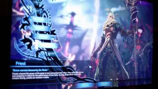 TERA: The Exiled Realm of Arborea | footage and depth interview part 2 of 3 | E3 2010 theGamer.vg