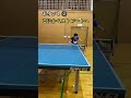 【夏練】ストレートバックD　#shorts #tabletennis #松平賢二全力チャンネル