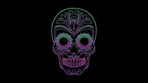 SVG anim using Vivus.js