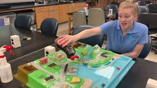 Human Impacts and Enviroscape