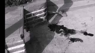 Ejecutaron a regidora electa por Morena en Mazatepec, Morelos, horas antes de que asumiera el cargo