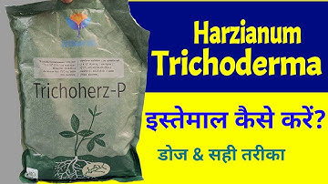 Trichoderma Harzianum Ka Istemal Kaise Karen? Dose & Use