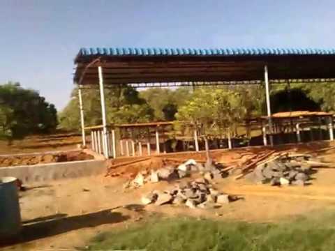 Shed Construction Cost For Goat Farming