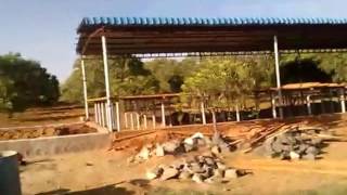 Goat Housing | Perfect Goat Farm Shed Design. கொட்டில் முறை வெள்ளாடு Goat Farm Shed Design Goat Housing - கொட்டில் முறை வெள்ளாடு. Thanks for 1400+ Subscribers ! Keep