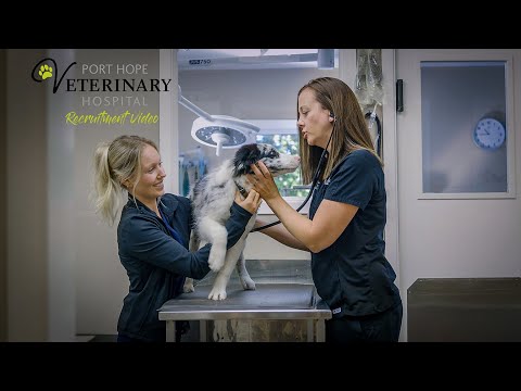 Port Hope Veterinary Hospital Recruitment Video