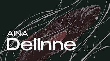 AINA - DELINNE (LYRIC VIDEO)