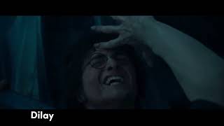 Harry Potter - Black Out Days