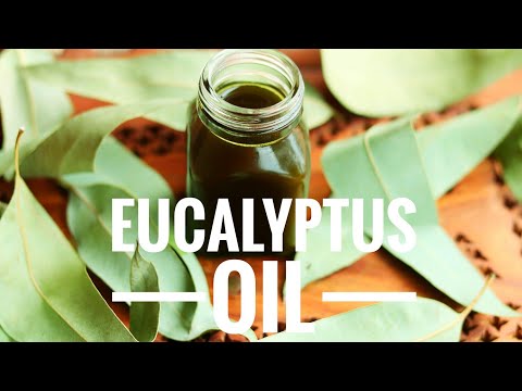Video: Eucalyptusolie maken: 12 stappen (met afbeeldingen) Antwoorden op al uw 