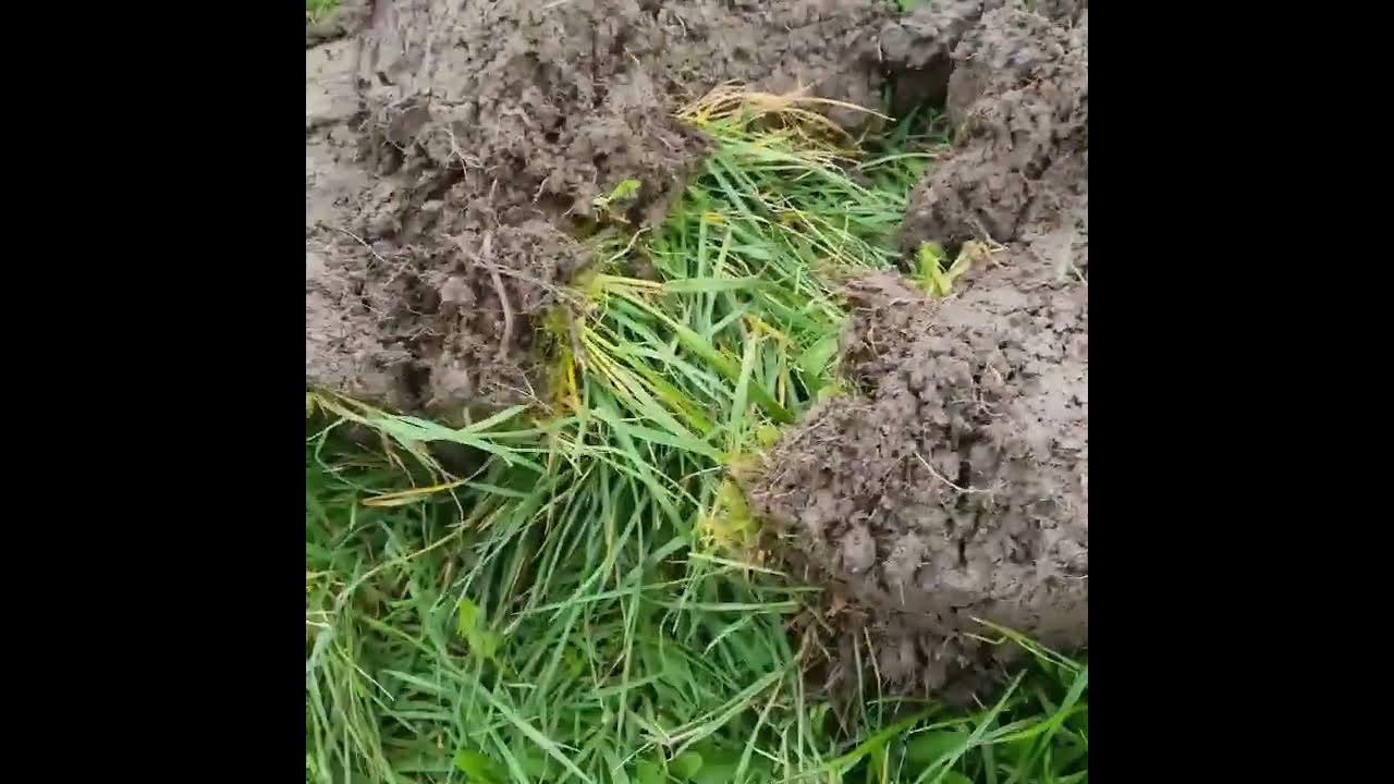 metal detecting merseyside YouTube