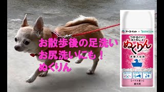 愛犬用炭酸入浴剤「ぬくりん」　散歩の後の部分洗い編| あーす・ぺっとはうす