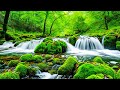 Gentle healing music for health and calming the nervous system deep relaxation