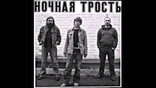 НОЧНАЯ ТРОСТЬ-Милорд(DEMO 2013)