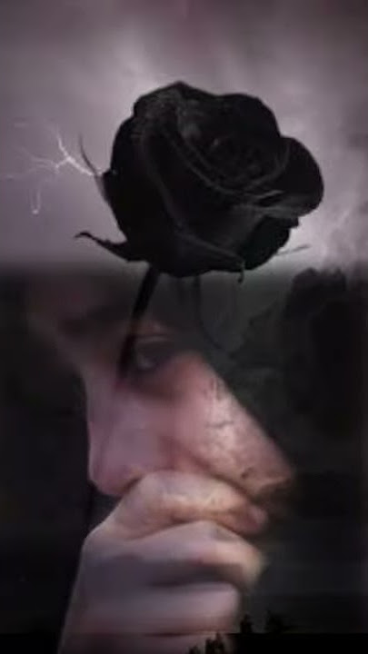 Fade to black (status wa)