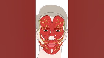 Botox Injections Explained | #shorts