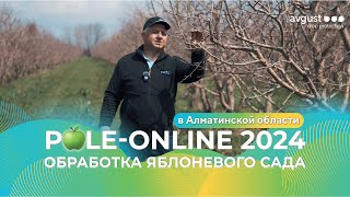 :   . Pole-Online 2024 # # #agro