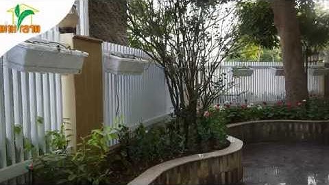 Vườn rau thông minh với hệ thống tưới nước tự động Israel