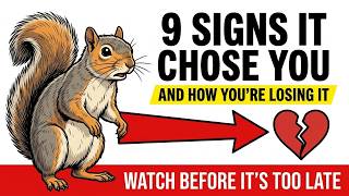 9 Signs the Squirrel in Your Yard Has Chosen You — And What You're Doing to Lose That Trust