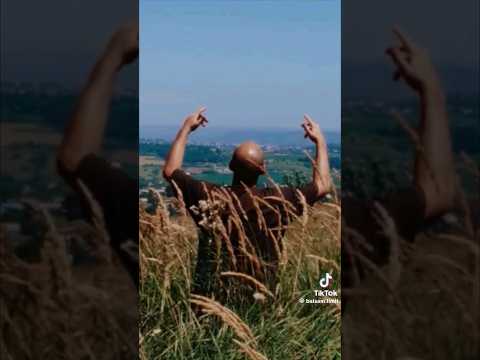 Balsam - Сила