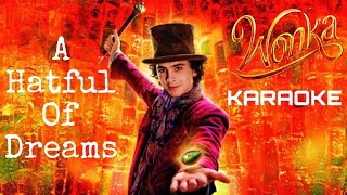 A Hatful Of Dreams KARAOKE Instrumental (from "Wonka") Timothée Chalamet & The Cast Of Wonka