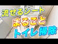 【洗剤いらず】流せるトイレシート1枚でトイレ室内から便器までまるごと掃除してみた！