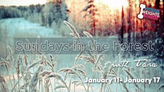 🌲Sundays in the Forest: DIY Lavender Water + Herb of the week + Readings
Lets brew a cup of tea, dabble in some herbs, and disappear into the forest😉🌲
Voting Community Page:
https://www.youtube.com/c/KittensWeightsandTarot/community
Patreon & Channel Members had two votes:
Patreon membership: https://www.patreon.com/kittensweightsandtarot
Channel Membership: https://www.youtube.com/c/KittensWeightsandTarot/join
*************
Order my Wallys World Oracle here: https://www.etsy.com/listing/710072354/wallys-world-oracle-a-healing-journey?ref=shop_home_feat_1&frs=1
Order my Victorian Flower Oracle here: https://www.makeplayingcards.com/sell/kittens-weights-and-tarot
Official Website: http://www.kittensweightsandtarot.com
My Email Address: tara@kittensweightsandtarot.com
*************
Become a Patron https://www.patreon.com/kittensweightsandtarot
Become Channel Member https://www.youtube.com/c/KittensWeightsandTarot/join
Donate to my PayPal Me https://www.paypal.me/KittensWeightsTarot
Instagram https://www.instagram.com/kittensweightsandtarot/
Newsletter https://www.kittensweightsandtarot.com/newsletter
Official Website http://www.kittensweightsandtarot.com
Terms of Use https://www.kittensweightsandtarot.com/privacy-policy
Desert Cauldron https://www.etsy.com/shop/DesertCauldron
My Amazon Wishlist: https://www.amazon.com/hz/wishlist/ls/1A8STEWYNA23J?ref wl_share
Looking for tarot goods & magickal items? Check out Goddess Provisions and use my link http://gpreferral.refr.cc/kwttribe
Looking for spiritual tools? Go to https://dabrigh.com/ and use code: KWT20 for 20% off of your order.
*************
Disclaimer:
This company does not offer medical, psychological, legal or financial services of any kind. Should you be experiencing any kind of emergency, please seek professional help or call 911. Services of company are for entertainment, spiritual and educational purposes only. By watching this video you agree to the Terms of Use located at: https://www.kittensweightsandtarot.com/privacy-policy
🎙️ New to streaming or looking to level up? Check out StreamYard and get $10 discount! 😍 https://streamyard.com/pal/d/6418963786366976 🌲Sundays in the Forest: DIY Lavender Water + Herb of the week + Readings