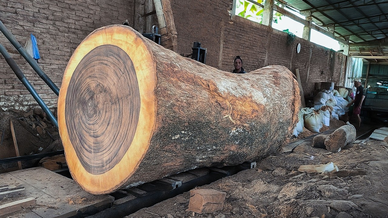 Giant Log Rolling at the Sawmill – Workers Nearly Crushed - YouTube