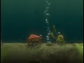 Buscando A Nemo Cangrejos 