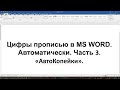 Цифры прописью в MS Word автоматически