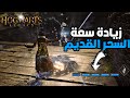 اماكن آثار السحر القديم   تراث هوجورتس