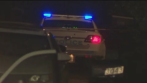 Daughter arrested after allegedly stabbing mother to death in Gwinnett County