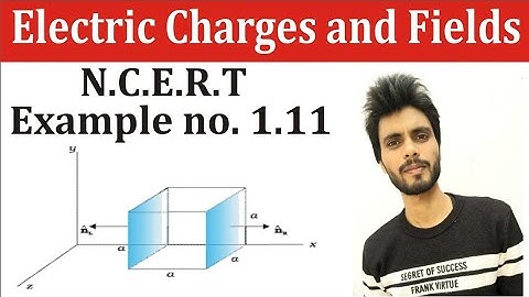 🔴 Physics N.C.E.R.T example 1.11 class 12th | electric charges and and fields examples solution