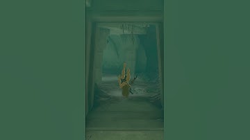 This mod makes TOTK feel FRESH again!