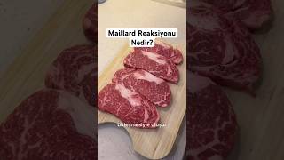 Maillard Reaksiyonu nedir? #ızgara #steak #gastronomi #youtubeshorts #tarif #food #kasap #mangal