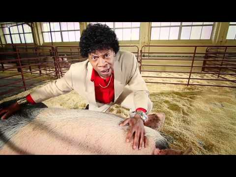 Utah State Fair ad: Uncommonly Good Pigs