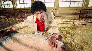 Utah State Fair ad: Uncommonly Good Pigs