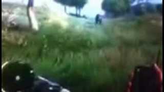 Farcry 3 Funny Bear c4 and wingsuit fail! Warning potatoe quality