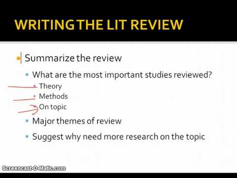critical synthesis literature review