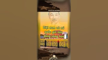 VIỆT NAM VÀ MỸ QUỐC GIA NÀO ĐÁNG SỐNG HƠN… #bảocócvlog #bacho #bảocóc #baococvlogboss #shorts #xh