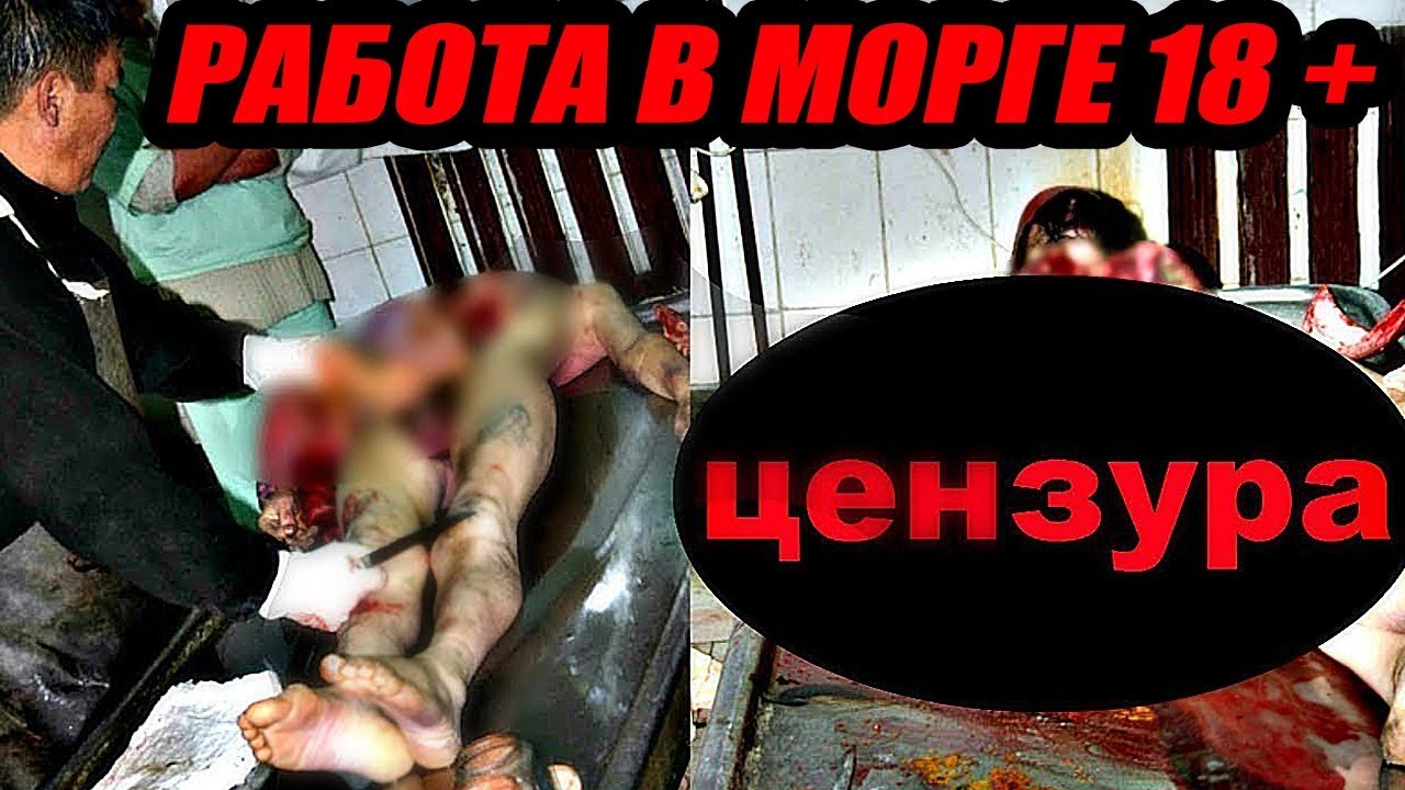 ⁣КАК УСТРОЕНА РАБОТА В МОРГЕ 18+