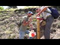 Comando Empleo GSD - FP Gestión Forestal y del Medio Natural