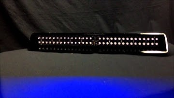 Whelen Slim Miser Blue Light