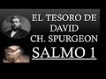 EL TESORO DE DAVID - CHARLES SPURGEON "SALMO 1"