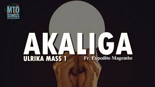 ULRIKA MASS I_AKALIGA | Fr. Expedito Magembe (MTO 517)