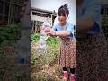how to make vegetable watering can H.Mongfamily #survival #shorts