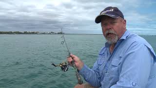 STOP Commercial Netting in the Great Sandy Marine Park | Steve Starling - Starlo