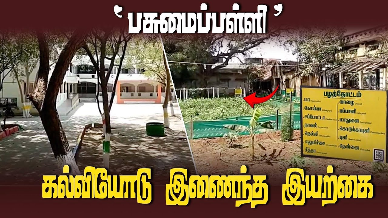 அரசுப் பள்ளிகளில் காய்கறித் தோட்டம் | A nutritious vegetable garden for government school students