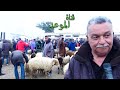 أسعار العلوش في رحبة الجديدة الفلاح يقول رخيص السوم و الشاري يقولك غالي mp3
