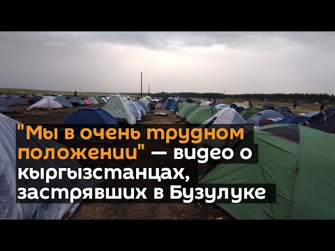 "Мы в очень трудном положении" — видео о кыргызстанцах, застрявших в Бузулуке