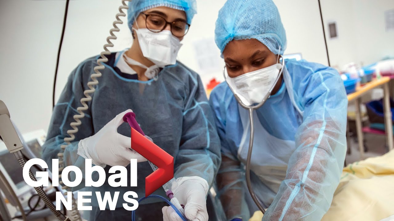 COVID-19: Travel rules for Americans up for debate again as infections surge in the US